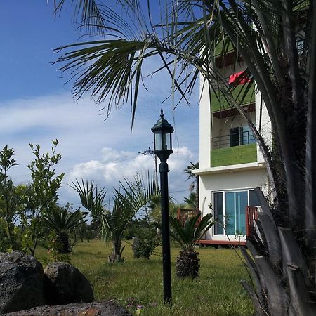 เชจู บาดา วี โอล เพนชั่น Villa ซอกวีโพ ภายนอก รูปภาพ